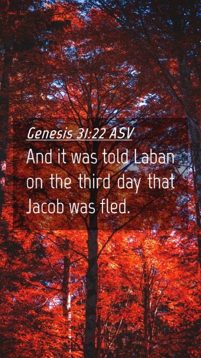 Picture 04 - Genesis 31:22 ASV Mobile Phone Wallpaper - And it was told Laban on the third day that Jacob - Mobile Bible Verse Wallpaper