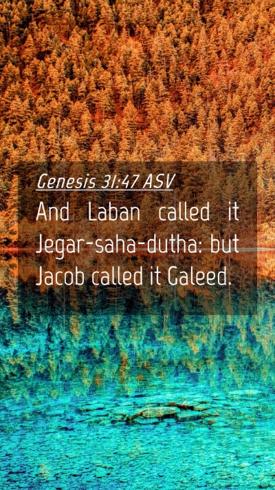 Picture 04 - Genesis 31:47 ASV Mobile Phone Wallpaper - And Laban called it Jegar-saha-dutha: but Jacob - Mobile Bible Verse Wallpaper