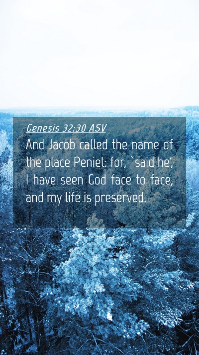 Picture 04 - Genesis 32:30 ASV Mobile Phone Wallpaper - And Jacob called the name of the place Peniel: - Mobile Bible Verse Wallpaper