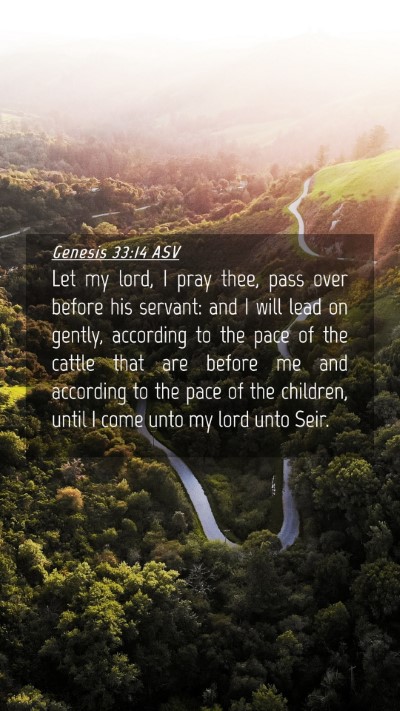 Picture 04 - Genesis 33:14 ASV Mobile Phone Wallpaper - Let my lord, I pray thee, pass over before his - Mobile Bible Verse Wallpaper