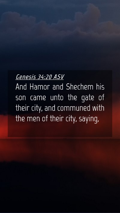 Picture 04 - Genesis 34:20 ASV Mobile Phone Wallpaper - And Hamor and Shechem his son came unto the gate - Mobile Bible Verse Wallpaper
