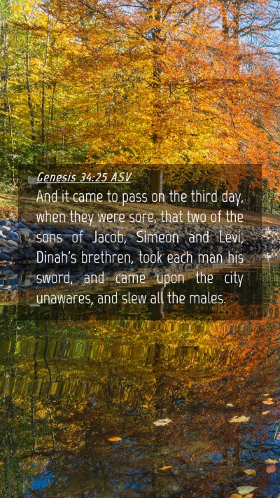 Picture 04 - Genesis 34:25 ASV Mobile Phone Wallpaper - And it came to pass on the third day, when they - Mobile Bible Verse Wallpaper