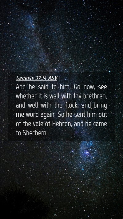 Picture 04 - Genesis 37:14 ASV Mobile Phone Wallpaper - And he said to him, Go now, see whether it is - Mobile Bible Verse Wallpaper