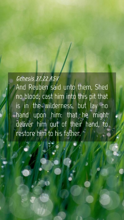 Picture 04 - Genesis 37:22 ASV Mobile Phone Wallpaper - And Reuben said unto them, Shed no blood; cast - Mobile Bible Verse Wallpaper