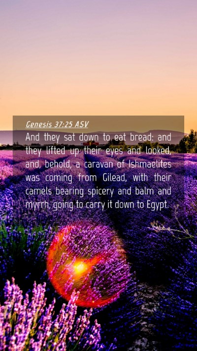Picture 04 - Genesis 37:25 ASV Mobile Phone Wallpaper - And they sat down to eat bread: and they lifted - Mobile Bible Verse Wallpaper