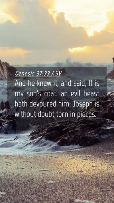 Picture 04 - Genesis 37:33 ASV Mobile Phone Wallpaper - And he knew it, and said, It is my son's coat: an - Mobile Bible Verse Wallpaper