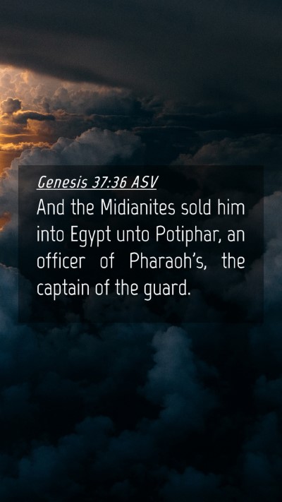 Picture 04 - Genesis 37:36 ASV Mobile Phone Wallpaper - And the Midianites sold him into Egypt unto - Mobile Bible Verse Wallpaper