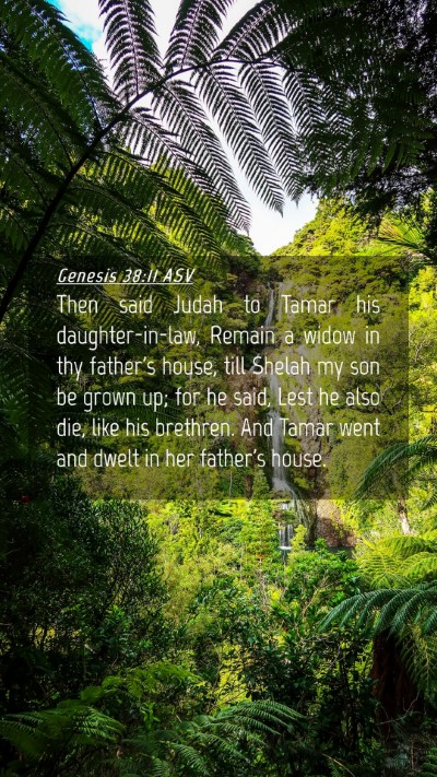 Picture 04 - Genesis 38:11 ASV Mobile Phone Wallpaper - Then said Judah to Tamar his daughter-in-law, - Mobile Bible Verse Wallpaper