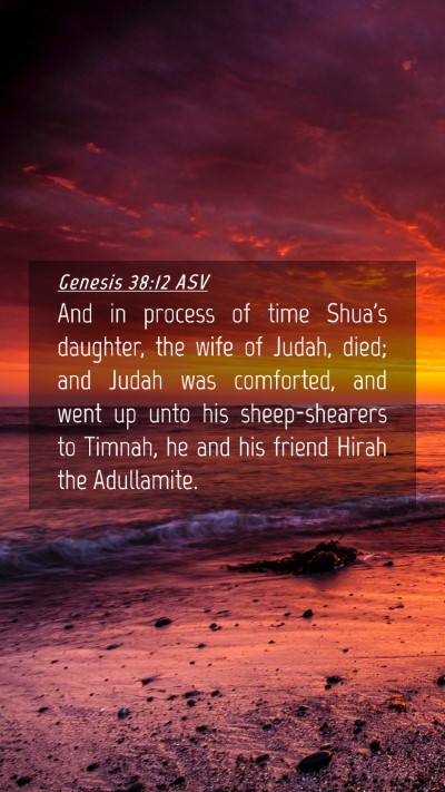 Picture 04 - Genesis 38:12 ASV Mobile Phone Wallpaper - And in process of time Shua's daughter, the wife - Mobile Bible Verse Wallpaper