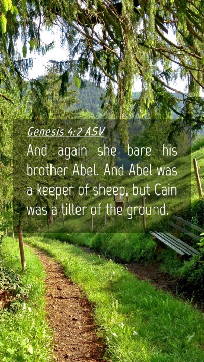 Picture 04 - Genesis 4:2 ASV Mobile Phone Wallpaper - And again she bare his brother Abel. And Abel was - Mobile Bible Verse Wallpaper