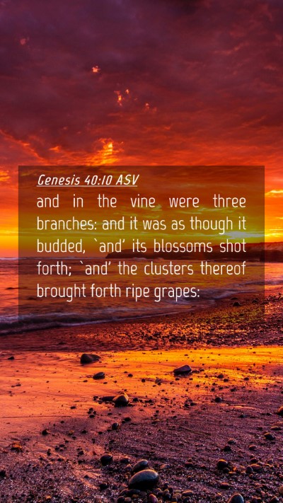 Picture 04 - Genesis 40:10 ASV Mobile Phone Wallpaper - and in the vine were three branches: and it was - Mobile Bible Verse Wallpaper
