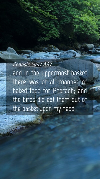 Picture 04 - Genesis 40:17 ASV Mobile Phone Wallpaper - and in the uppermost basket there was of all - Mobile Bible Verse Wallpaper