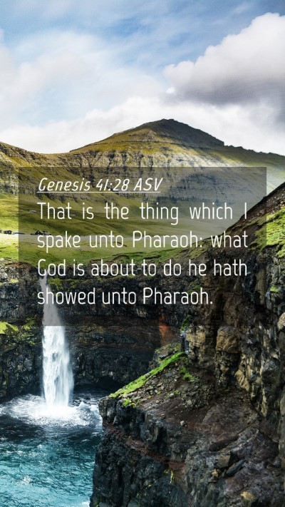 Picture 04 - Genesis 41:28 ASV Mobile Phone Wallpaper - That is the thing which I spake unto Pharaoh: - Mobile Bible Verse Wallpaper