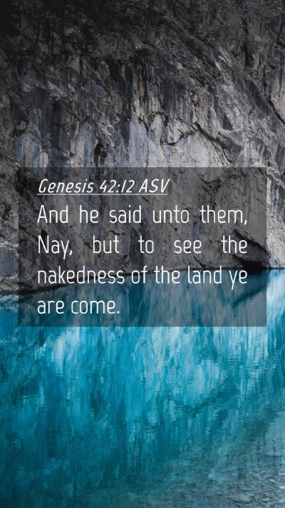 Picture 04 - Genesis 42:12 ASV Mobile Phone Wallpaper - And he said unto them, Nay, but to see the - Mobile Bible Verse Wallpaper