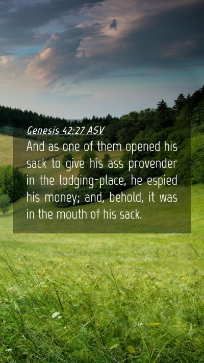 Picture 04 - Genesis 42:27 ASV Mobile Phone Wallpaper - And as one of them opened his sack to give his - Mobile Bible Verse Wallpaper