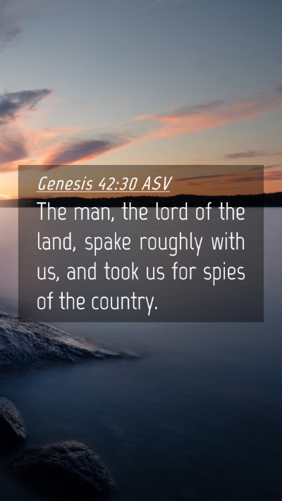 Picture 04 - Genesis 42:30 ASV Mobile Phone Wallpaper - The man, the lord of the land, spake roughly with - Mobile Bible Verse Wallpaper