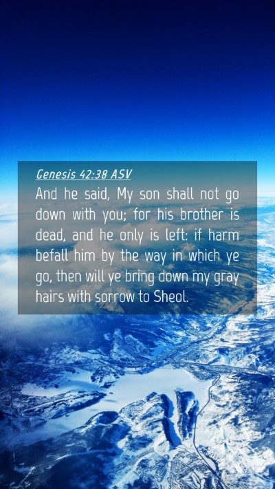 Picture 04 - Genesis 42:38 ASV Mobile Phone Wallpaper - And he said, My son shall not go down with you; - Mobile Bible Verse Wallpaper