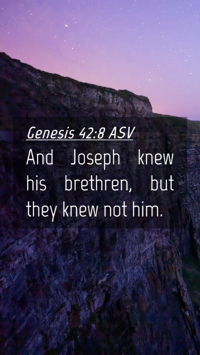 Picture 04 - Genesis 42:8 ASV Mobile Phone Wallpaper - And Joseph knew his brethren, but they knew not - Mobile Bible Verse Wallpaper
