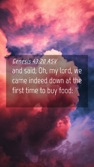 Picture 04 - Genesis 43:20 ASV Mobile Phone Wallpaper - and said, Oh, my lord, we came indeed down at the - Mobile Bible Verse Wallpaper