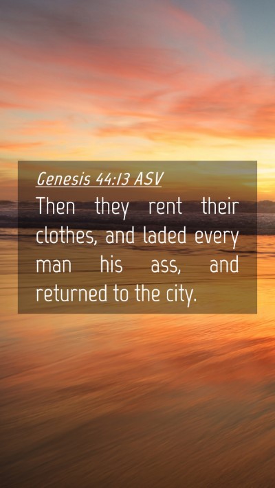 Picture 04 - Genesis 44:13 ASV Mobile Phone Wallpaper - Then they rent their clothes, and laded every man - Mobile Bible Verse Wallpaper