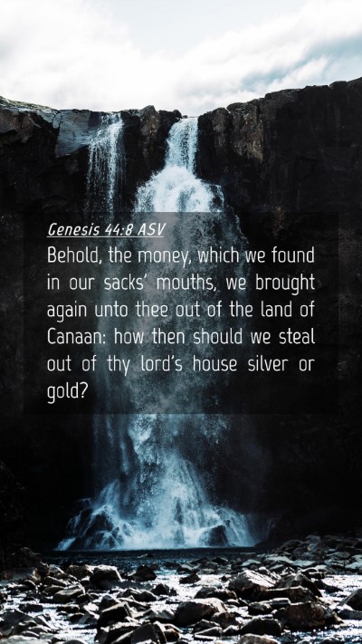 Picture 04 - Genesis 44:8 ASV Mobile Phone Wallpaper - Behold, the money, which we found in our sacks' - Mobile Bible Verse Wallpaper