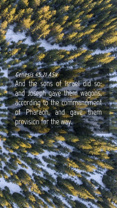 Picture 04 - Genesis 45:21 ASV Mobile Phone Wallpaper - And the sons of Israel did so: and Joseph gave - Mobile Bible Verse Wallpaper