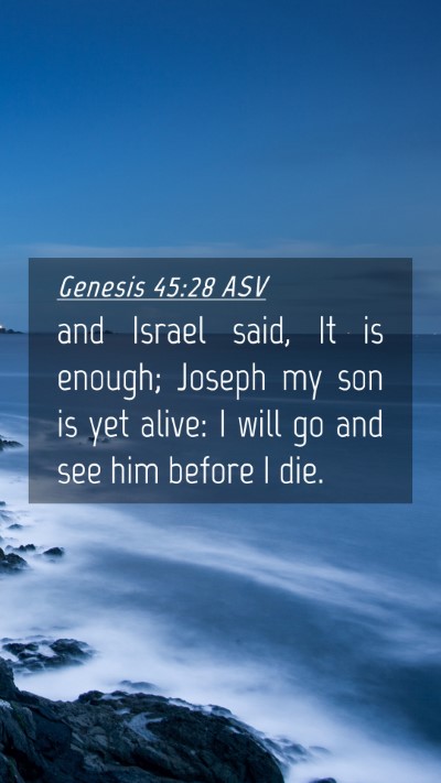 Picture 04 - Genesis 45:28 ASV Mobile Phone Wallpaper - and Israel said, It is enough; Joseph my son is - Mobile Bible Verse Wallpaper