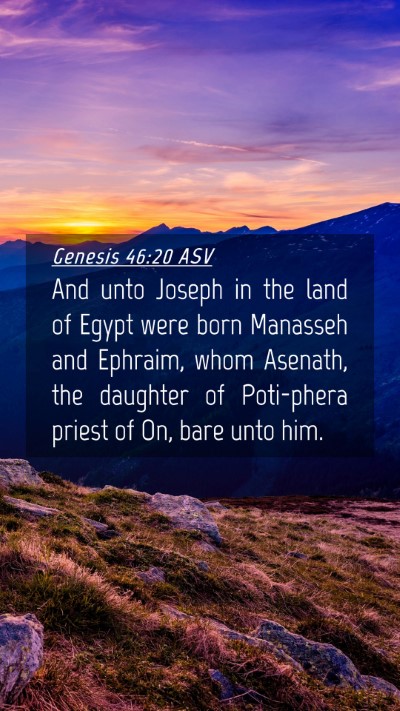 Picture 04 - Genesis 46:20 ASV Mobile Phone Wallpaper - And unto Joseph in the land of Egypt were born - Mobile Bible Verse Wallpaper