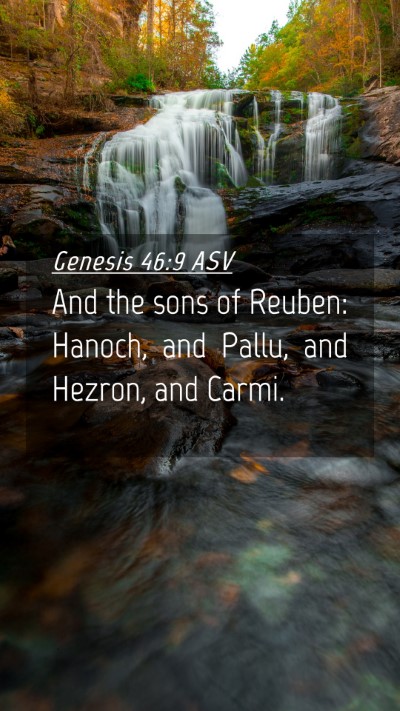 Picture 04 - Genesis 46:9 ASV Mobile Phone Wallpaper - And the sons of Reuben: Hanoch, and Pallu, and - Mobile Bible Verse Wallpaper