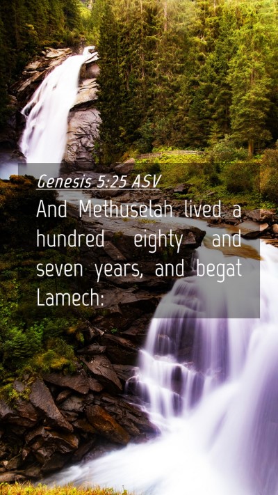 Picture 04 - Genesis 5:25 ASV Mobile Phone Wallpaper - And Methuselah lived a hundred eighty and seven - Mobile Bible Verse Wallpaper
