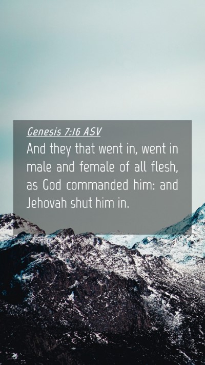 Picture 04 - Genesis 7:16 ASV Mobile Phone Wallpaper - And they that went in, went in male and female of - Mobile Bible Verse Wallpaper