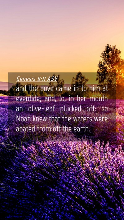 Picture 04 - Genesis 8:11 ASV Mobile Phone Wallpaper - and the dove came in to him at eventide; and, lo, - Mobile Bible Verse Wallpaper