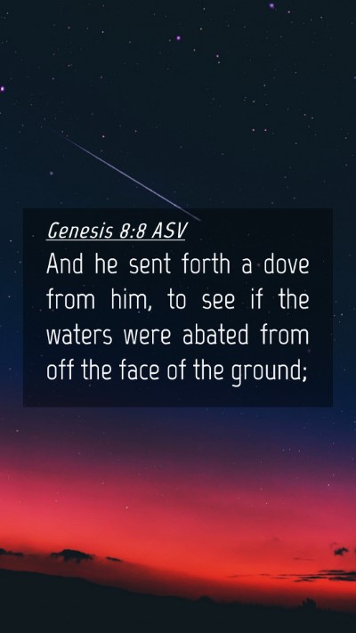 Picture 04 - Genesis 8:8 ASV Mobile Phone Wallpaper - And he sent forth a dove from him, to see if the - Mobile Bible Verse Wallpaper