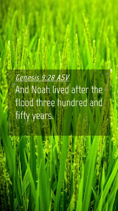 Picture 04 - Genesis 9:28 ASV Mobile Phone Wallpaper - And Noah lived after the flood three hundred and - Mobile Bible Verse Wallpaper