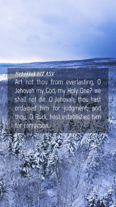 Picture 04 - Habakkuk 1:12 ASV Mobile Phone Wallpaper - Art not thou from everlasting, O Jehovah my God, - Mobile Bible Verse Wallpaper