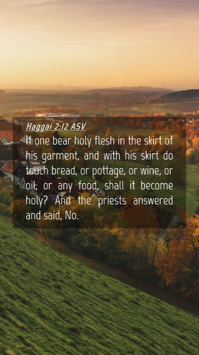 Picture 04 - Haggai 2:12 ASV Mobile Phone Wallpaper - If one bear holy flesh in the skirt of his - Mobile Bible Verse Wallpaper