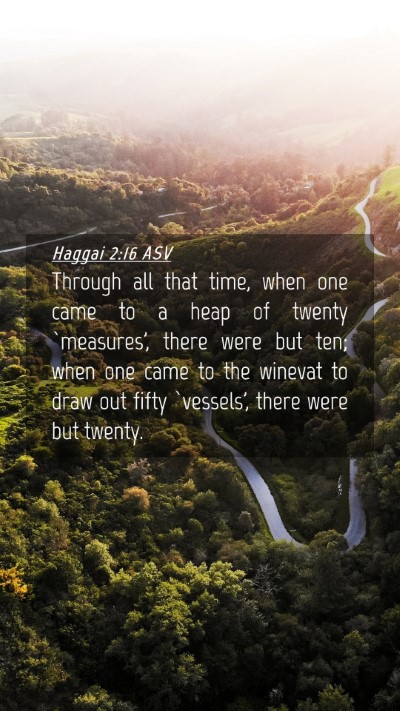 Picture 04 - Haggai 2:16 ASV Mobile Phone Wallpaper - Through all that time, when one came to a heap of - Mobile Bible Verse Wallpaper