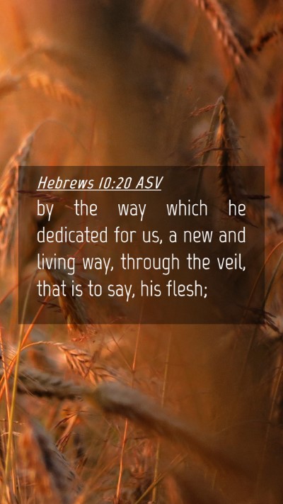 Picture 04 - Hebrews 10:20 ASV Mobile Phone Wallpaper - by the way which he dedicated for us, a new and - Mobile Bible Verse Wallpaper