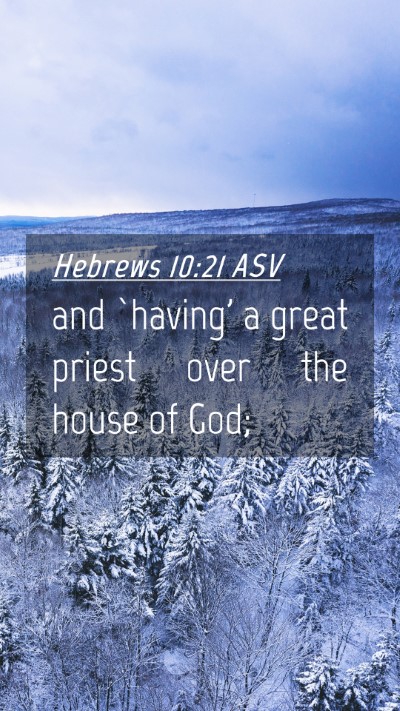 Picture 04 - Hebrews 10:21 ASV Mobile Phone Wallpaper - and `having' a great priest over the house of - Mobile Bible Verse Wallpaper