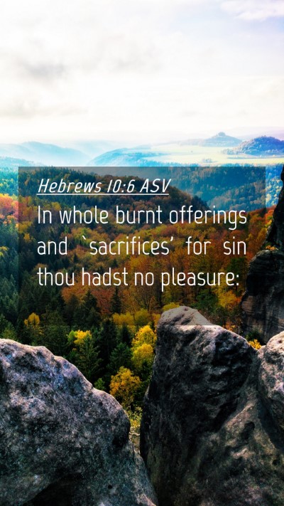 Picture 04 - Hebrews 10:6 ASV Mobile Phone Wallpaper - In whole burnt offerings and `sacrifices' for sin - Mobile Bible Verse Wallpaper