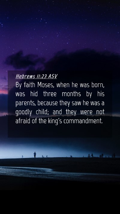 Picture 04 - Hebrews 11:23 ASV Mobile Phone Wallpaper - By faith Moses, when he was born, was hid three - Mobile Bible Verse Wallpaper