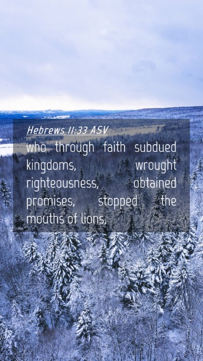 Picture 04 - Hebrews 11:33 ASV Mobile Phone Wallpaper - who through faith subdued kingdoms, wrought - Mobile Bible Verse Wallpaper