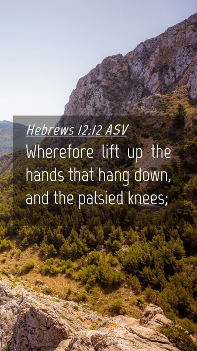 Picture 04 - Hebrews 12:12 ASV Mobile Phone Wallpaper - Wherefore lift up the hands that hang down, and - Mobile Bible Verse Wallpaper