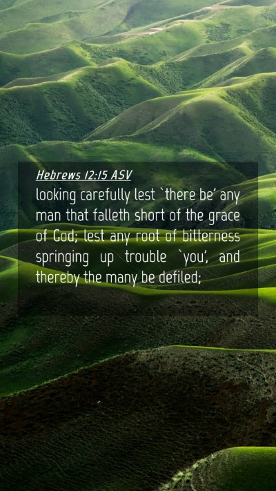Picture 04 - Hebrews 12:15 ASV Mobile Phone Wallpaper - looking carefully lest `there be' any man that - Mobile Bible Verse Wallpaper