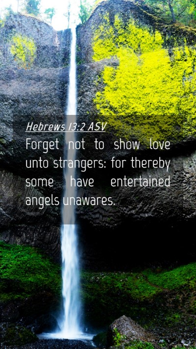 Picture 04 - Hebrews 13:2 ASV Mobile Phone Wallpaper - Forget not to show love unto strangers: for - Mobile Bible Verse Wallpaper