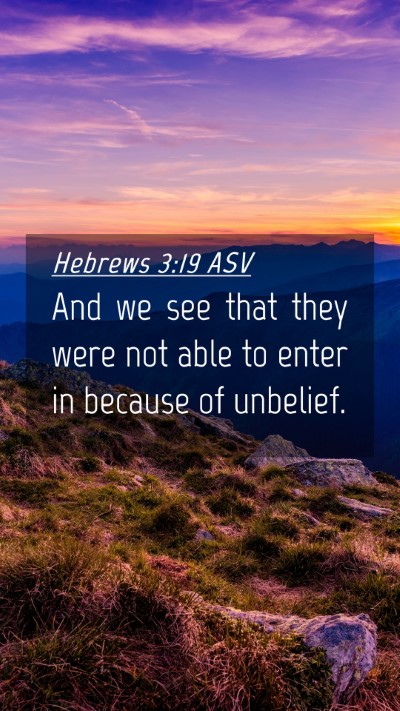 Picture 04 - Hebrews 3:19 ASV Mobile Phone Wallpaper - And we see that they were not able to enter in - Mobile Bible Verse Wallpaper
