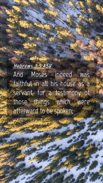 Picture 04 - Hebrews 3:5 ASV Mobile Phone Wallpaper - And Moses indeed was faithful in all his house as - Mobile Bible Verse Wallpaper