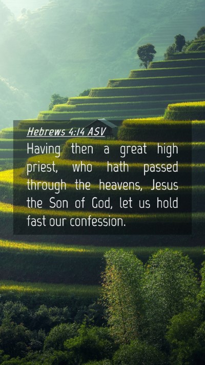 Picture 04 - Hebrews 4:14 ASV Mobile Phone Wallpaper - Having then a great high priest, who hath passed - Mobile Bible Verse Wallpaper
