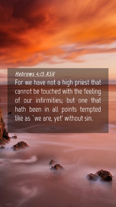 Picture 04 - Hebrews 4:15 ASV Mobile Phone Wallpaper - For we have not a high priest that cannot be - Mobile Bible Verse Wallpaper