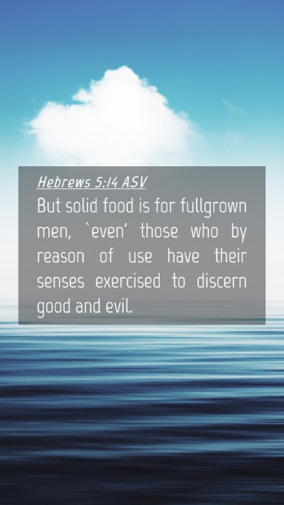 Picture 04 - Hebrews 5:14 ASV Mobile Phone Wallpaper - But solid food is for fullgrown men, `even' those - Mobile Bible Verse Wallpaper